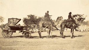 Camel Carriage, c.1860