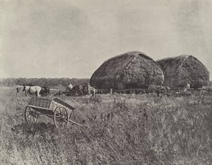 Canning Downs Station by English Photographer