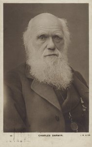 Charles Darwin (1809-1882), English Naturalist by English Photographer