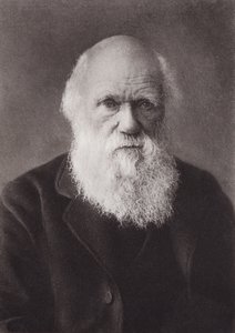Charles Darwin, portrait, c 1880 by English Photographer