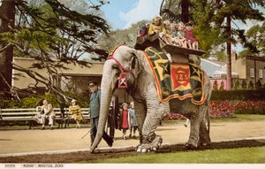 Children enjoying a ride on Rosie the elephant, Bristol Zoo