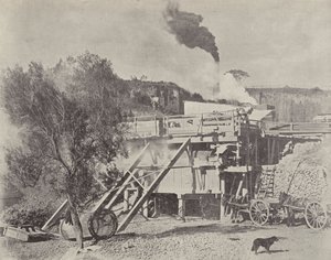 Crushing Stone, Kiama Quarries, New South Wales by English Photographer