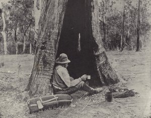 Down on His Luck by English Photographer
