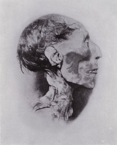 Egypt: Head of Rameses II by English Photographer