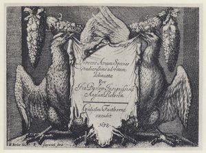 F Barlow, Diversae avium species, G Faithorne 1658 by English Photographer
