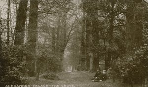 General View of The Grove at Alexandra Palace by English Photographer