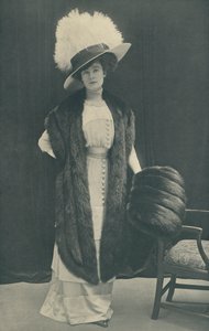 Graceful Shaped Skunk Stole and Muff