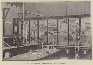 Grant Museum, Merchiston Castle School