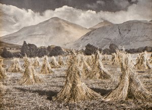 Harvest in Strathfillan below Ben More and Stobinian