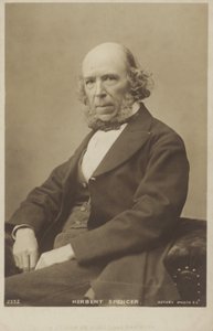 Herbert Spencer by English Photographer