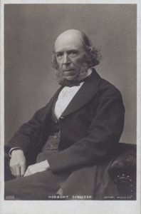 Herbert Spencer by English Photographer