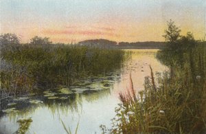Hoveton Broad by English Photographer