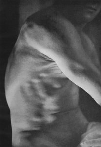 Illustration for The Male Body