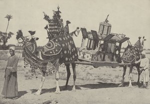 Marriage ceremony in Cairo