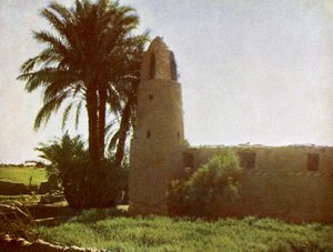 Mosque at Medamut by English Photographer