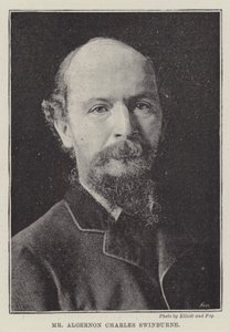 Mr. Algernon Charles Swinburne by English Photographer