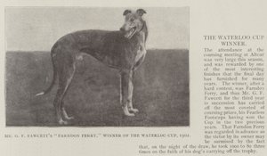 Mr G F Fawcetts Farndon Ferry, Winner of the Waterloo Cup, 1902