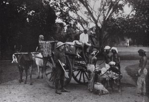 Mr G P Owen and a Singapore Tiger by English Photographer