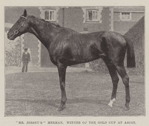 Mr Jerseys Merman, Winner of the Gold Cup at Ascot