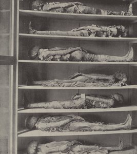Mummies of priests, The bodies of priests embalmed before Aaron and his sons were appointed by English Photographer