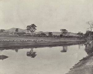 Nemengha Station by English Photographer