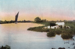 On the Bure