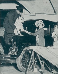 Park Your Dog