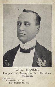 Portrait of Carl Hamlin