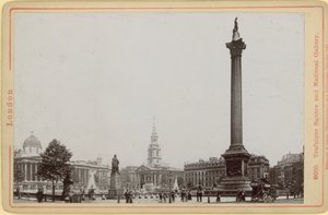 Image of Nelson