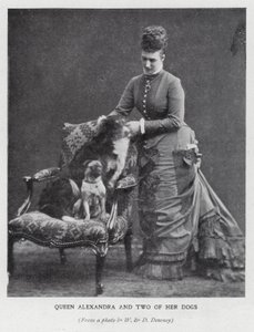 Queen Alexandra and two of her dogs by English Photographer