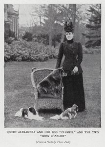 Queen Alexandra with her dog, Plumpie, and her two King Charles spaniels