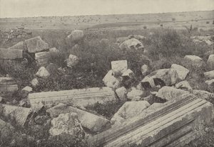 Ruins of the synagogue at Capernaum, where Christ healed the man with the withered hand