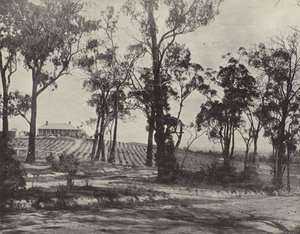 Scene on the Gembrook Road, Victoria