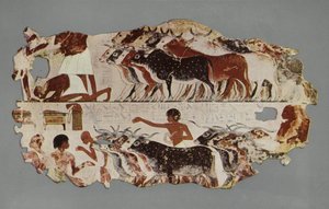 Scene representing the driving of a large herd of cattle, for stocktaking purposes, on an Egyptian farm