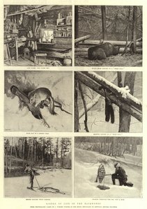 Scenes of Life in the Backwoods