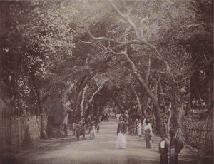 Skinners Road, Colombo by English Photographer