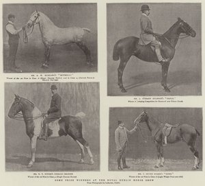 Some Prize Winners at the Royal Dublin Horse Show by English Photographer
