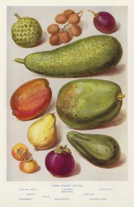 Some rarer fruits by English Photographer