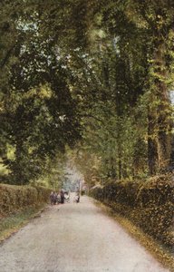 Spencer Road, Ryde by English Photographer