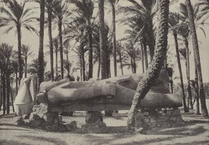 Statue of Rameses II, lying in the city which Jeremiah said should be without inhabitant