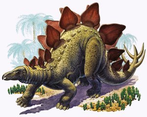 Stegosaurus