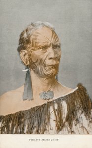 Tangata Maori Chief by English Photographer