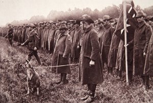 The Anzac review on Salisbury Plain: an Australian mascot by English Photographer