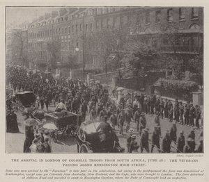 The Arrival in London of Colonial Troops from South Africa, 26 June, the Veterans passing along Kensington High Street by English Photographer