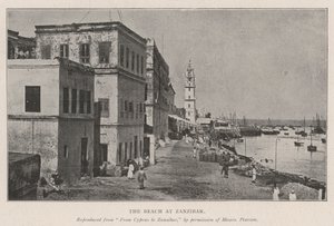 The Beach at Zanzibar by English Photographer