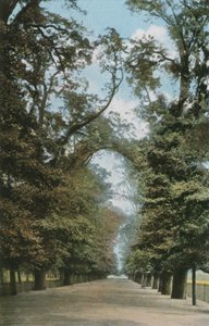 The Broad Walk by English Photographer