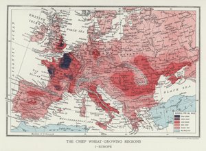 The Chief Wheat-Growing Regions, Europe