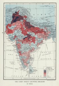 The Chief Wheat-Growing Regions, India by English Photographer