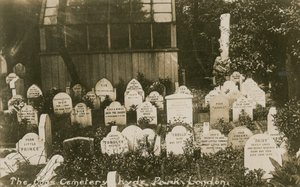 The Dogs Cemetery, Hyde Park, London by English Photographer