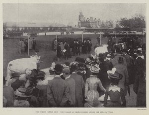 The Dublin Cattle Show, the Parade of Prize-Winners before the Duke of York by English Photographer